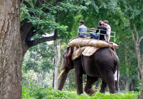 Elephant Ride